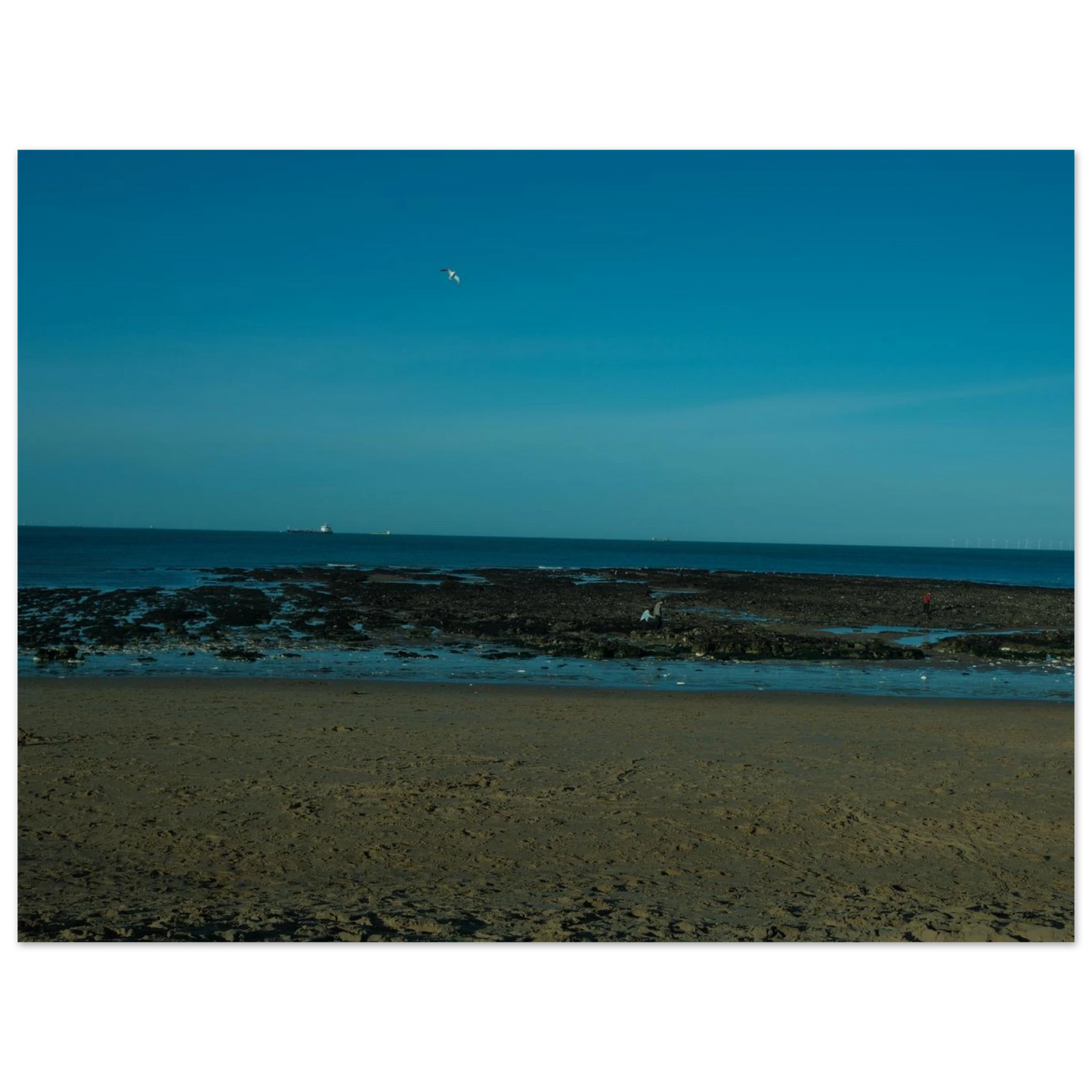 ee68c832-0436-4f80-b7c6-6e1b1ae88490