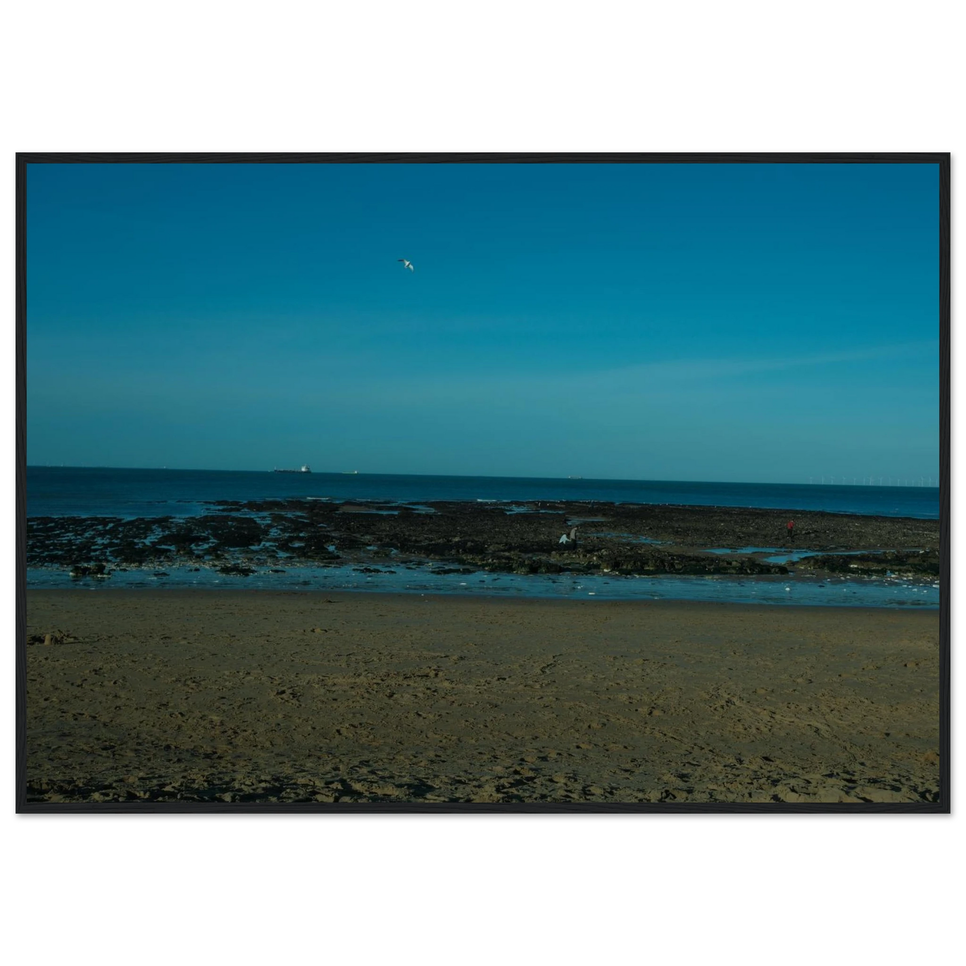 e83be510-60e9-4b8a-b242-b3aace0c0028